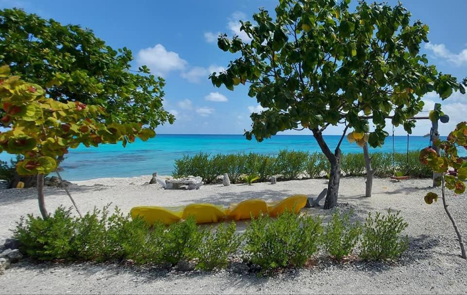 Pension Tiputa Lodge Rangiroa Exterior photo