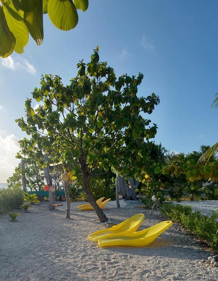 Pension Tiputa Lodge Rangiroa Exterior photo
