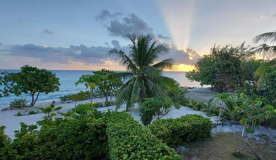 Pension Tiputa Lodge Rangiroa Exterior photo