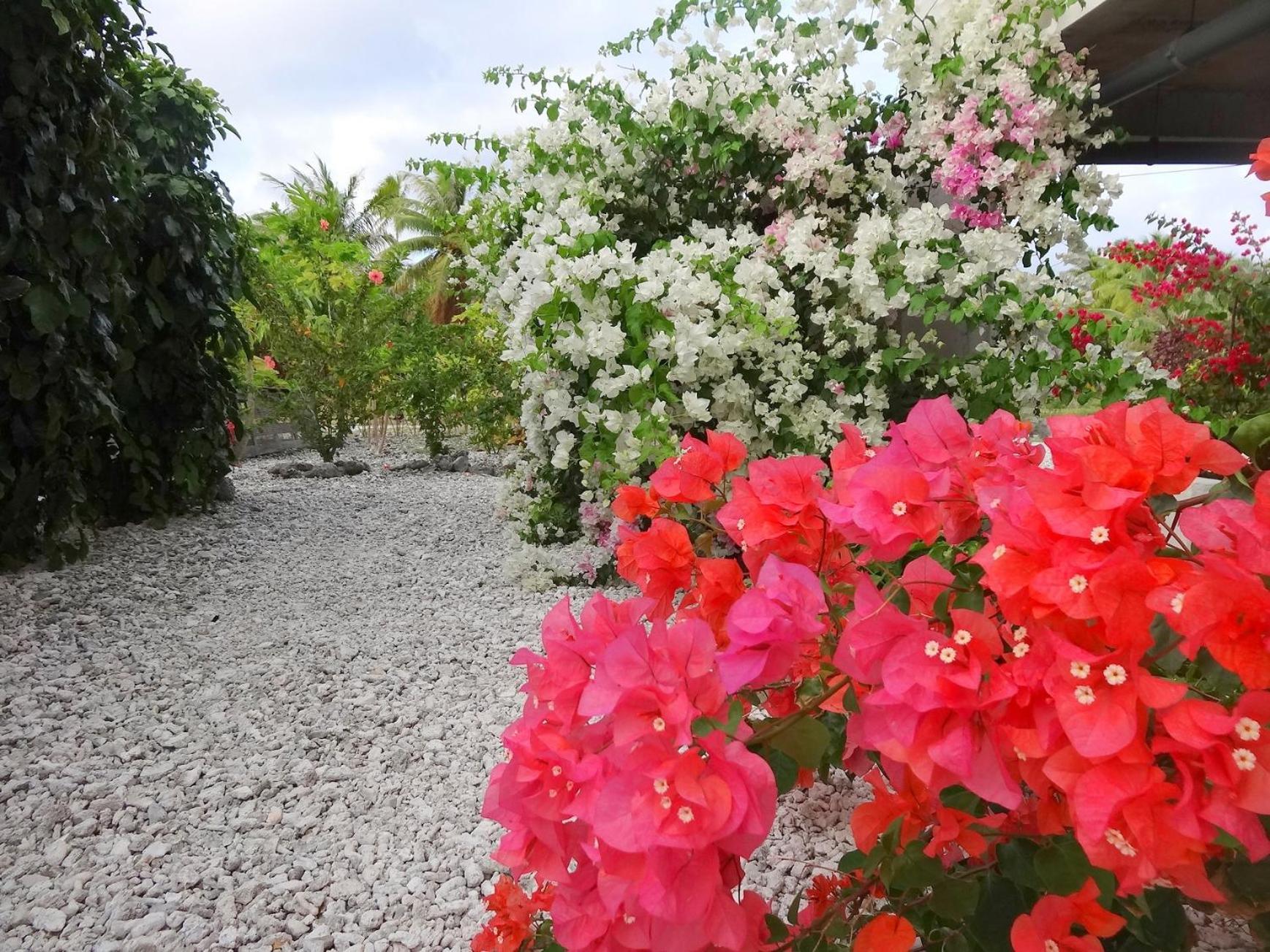 Pension Tiputa Lodge Rangiroa Exterior photo