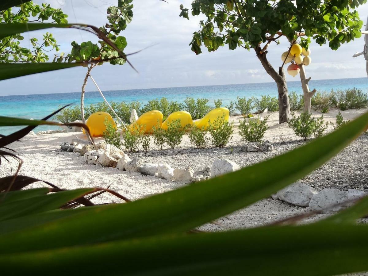 Pension Tiputa Lodge Rangiroa Exterior photo