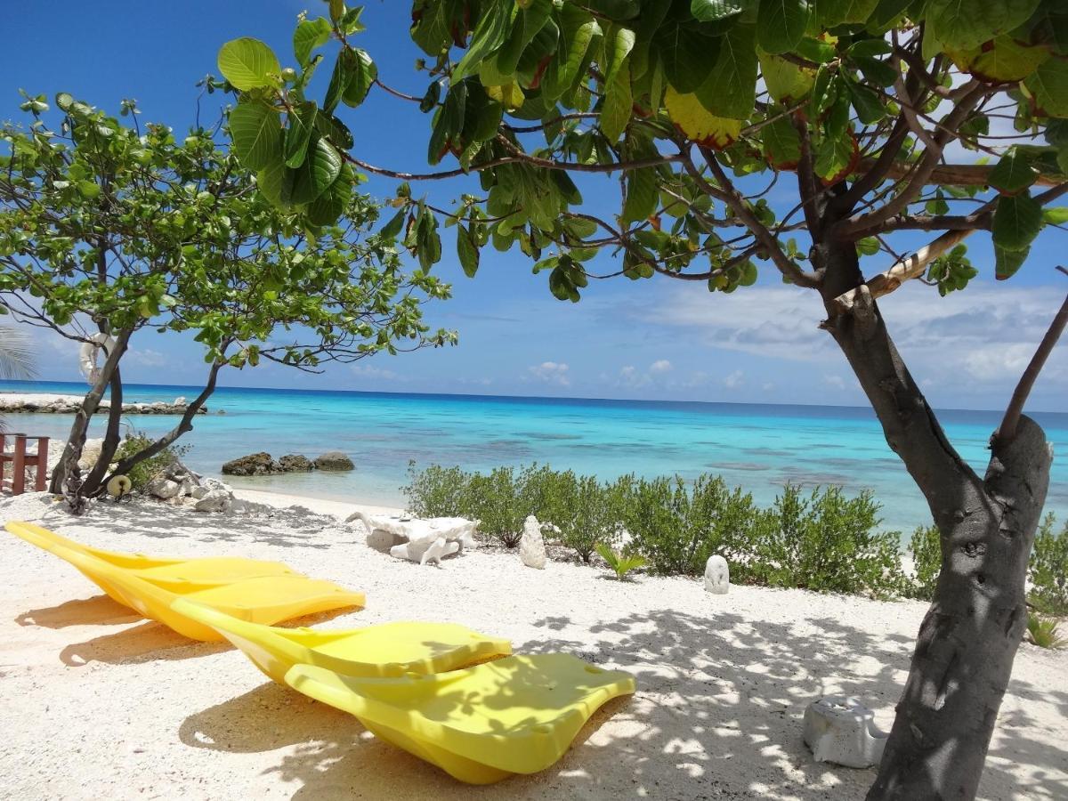 Pension Tiputa Lodge Rangiroa Exterior photo